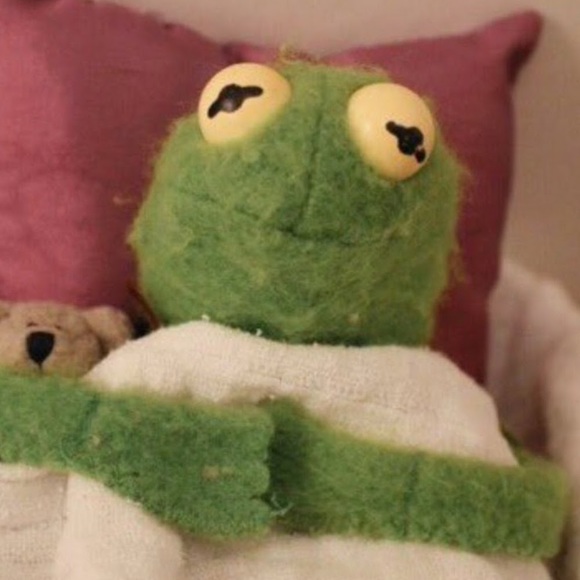 Meet your Posher, Emmy - Picture 1 of 1